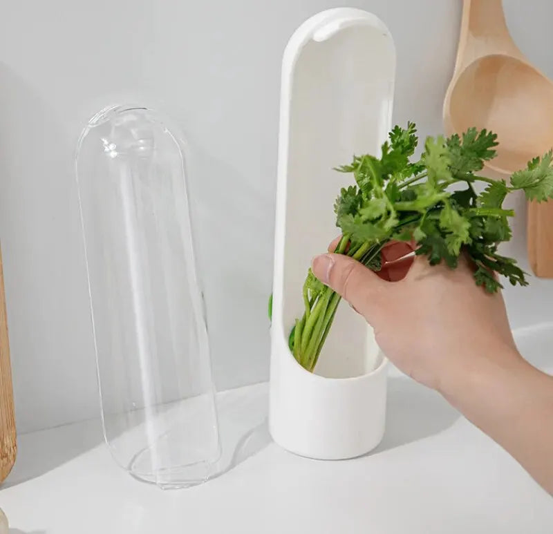 Veggies & Herbs storage container