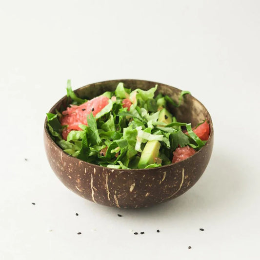 Natural Coconut Shell Bowl