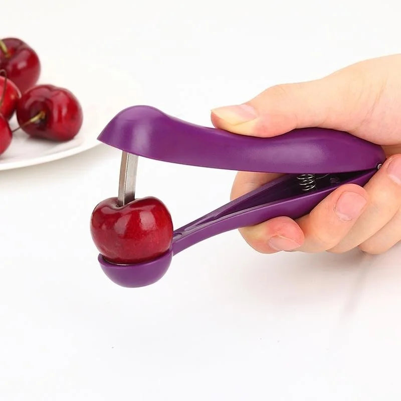 Cherry Seed Remover