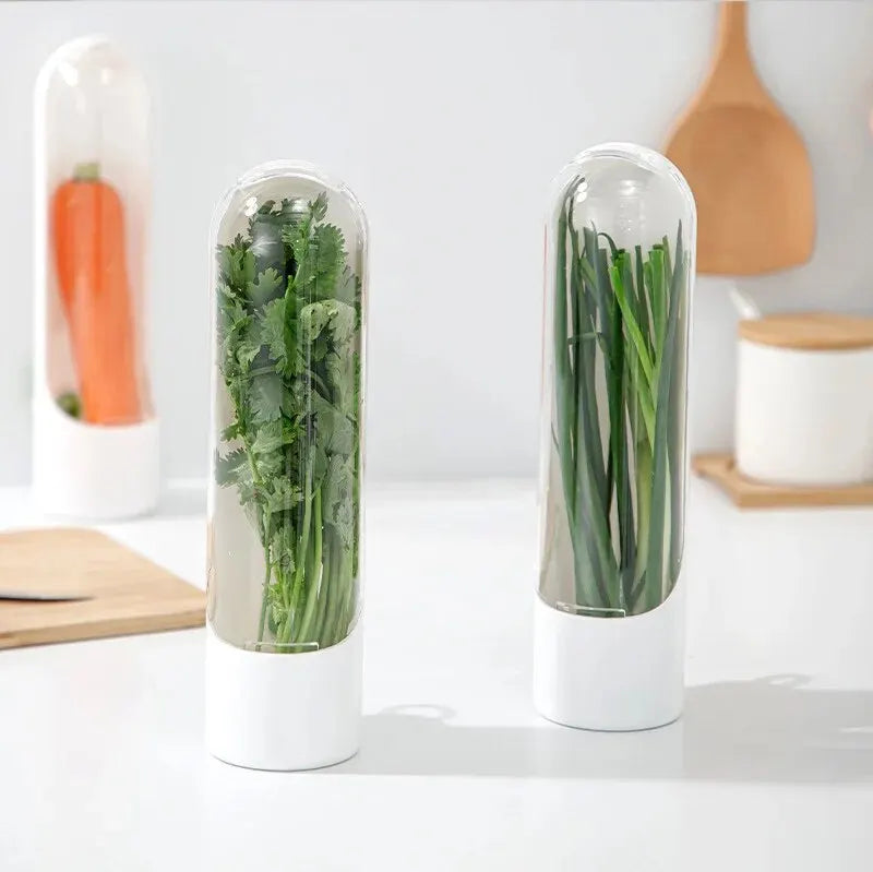 Veggies & Herbs storage container
