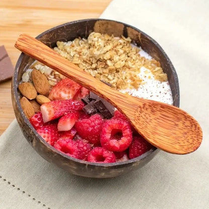 Natural Coconut Shell Bowl