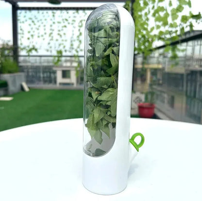 Veggies & Herbs storage container